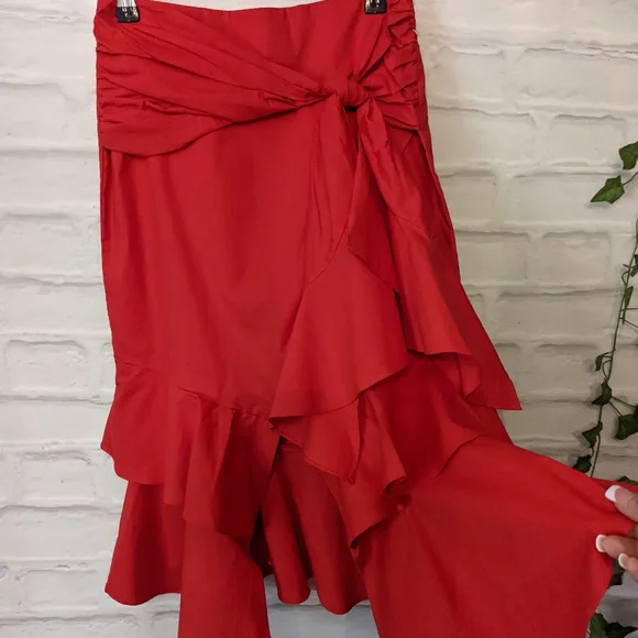 Front & Company Retro Ruffle Skirt - Picture 5 of 5